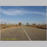 20060812_JoshuaYuccaTree_016 copia.jpg